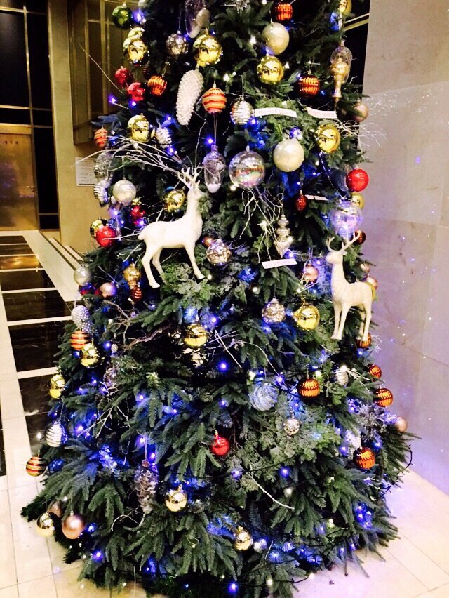 KakaoTalk_20151221_150250045.jpg